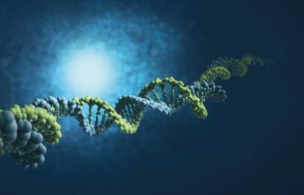 Bayer postaja podjetje »Life Science«