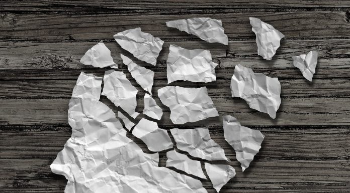 Preučevanje Alzheimerjeve bolezni v pionirskem preventivnem programu