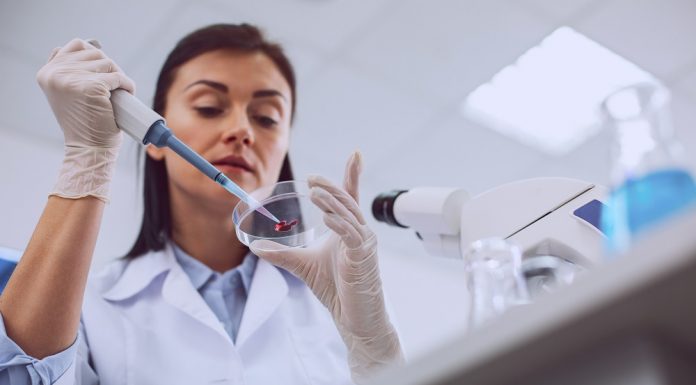 Novi test lymsko boreliozo odkrije v 15 minutah