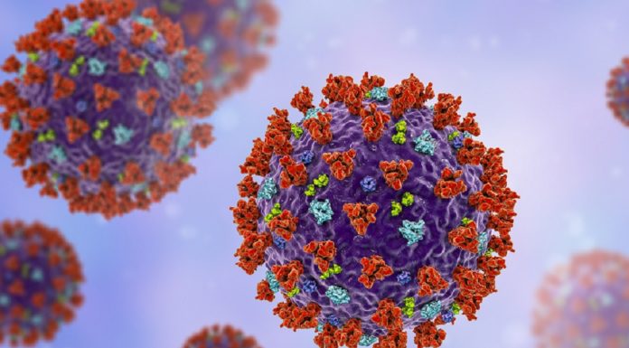 Kako se koronavirus SARS-CoV-2 izogne protitelesom