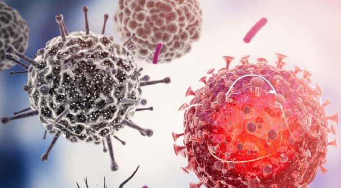 Evolucija covid-19 gre v smeri izogibanja virusa cepivu in zdravilom