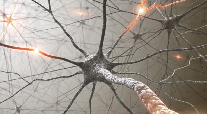 3D natisnjeni biomaterial posnema lastnosti živih tkiv
