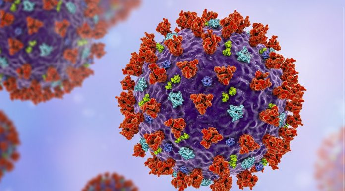 Covid-19: Identificirali gene, ki zaustavijo okužbo