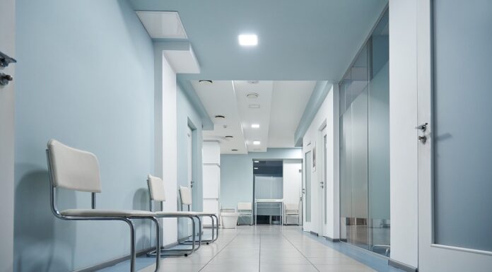 obnova zkc ljubljana