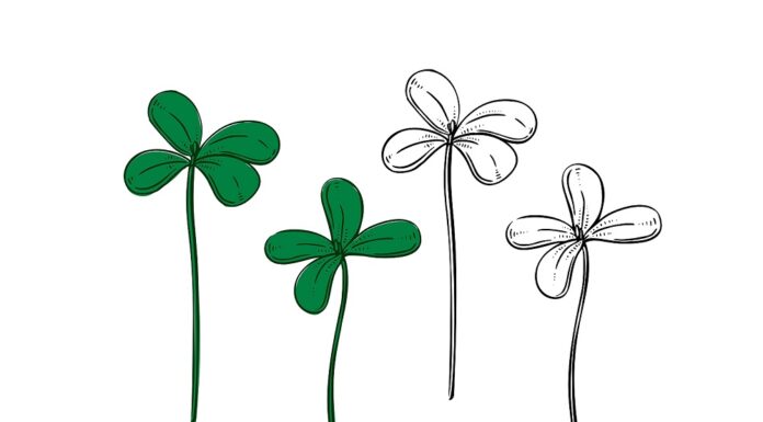 na sušo odporne rastline