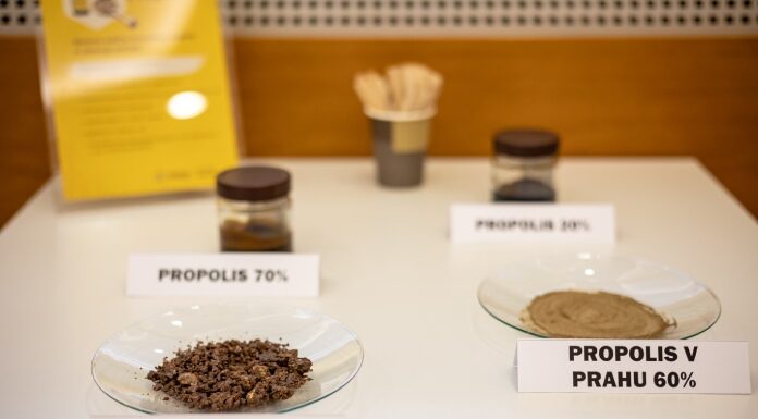 Učinkovitost matičnega mlečka na sistemsko vnetje.