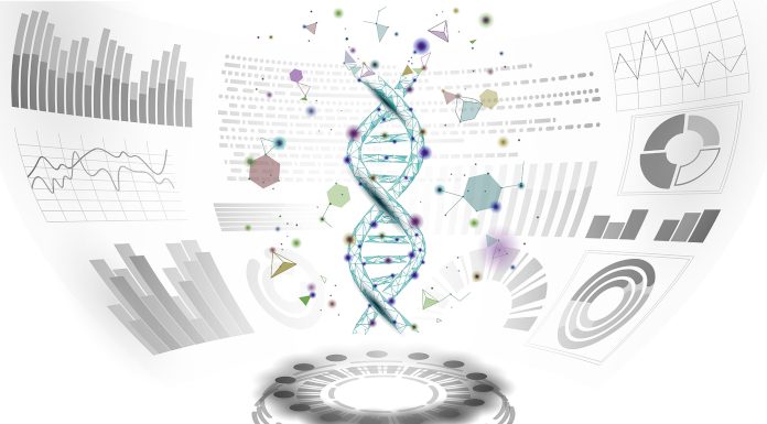 Genska nadomestna terapija in klinična raziskava za sindrom CTNNB1