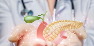 Medicinski prikaz trebušne slinavke in žolčnega sistema v rokah zdravnika kot ponazoritev akutnega pankreatitisa.