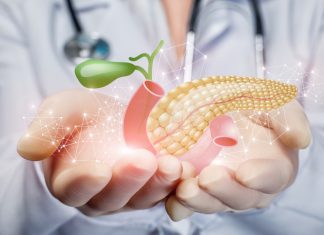 Medicinski prikaz trebušne slinavke in žolčnega sistema v rokah zdravnika kot ponazoritev akutnega pankreatitisa.