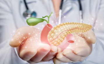 Medicinski prikaz trebušne slinavke in žolčnega sistema v rokah zdravnika kot ponazoritev akutnega pankreatitisa.