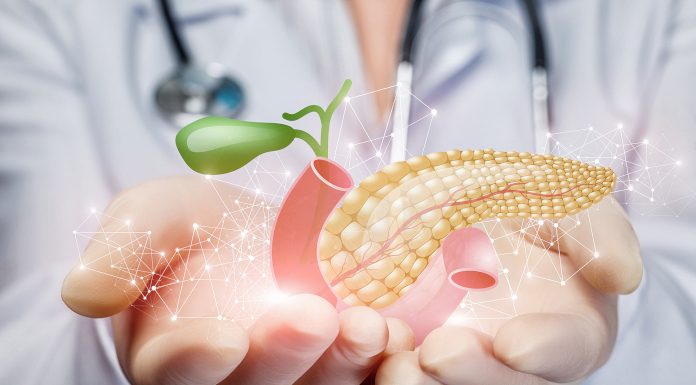 Medicinski prikaz trebušne slinavke in žolčnega sistema v rokah zdravnika kot ponazoritev akutnega pankreatitisa.